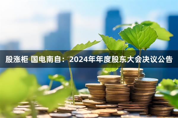 股涨柜 国电南自：2024年年度股东大会决议公告