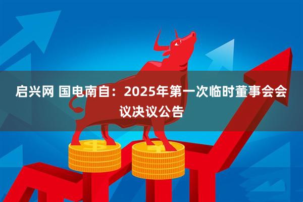 启兴网 国电南自：2025年第一次临时董事会会议决议公告