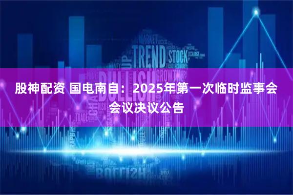股神配资 国电南自：2025年第一次临时监事会会议决议公告